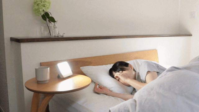 睡眠リズム照明「トトノエライト」+光・アロマ・サウンド生活リズム2点